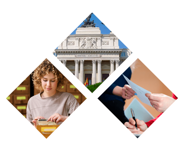 Estudiar oposiciones de Administración del Estado